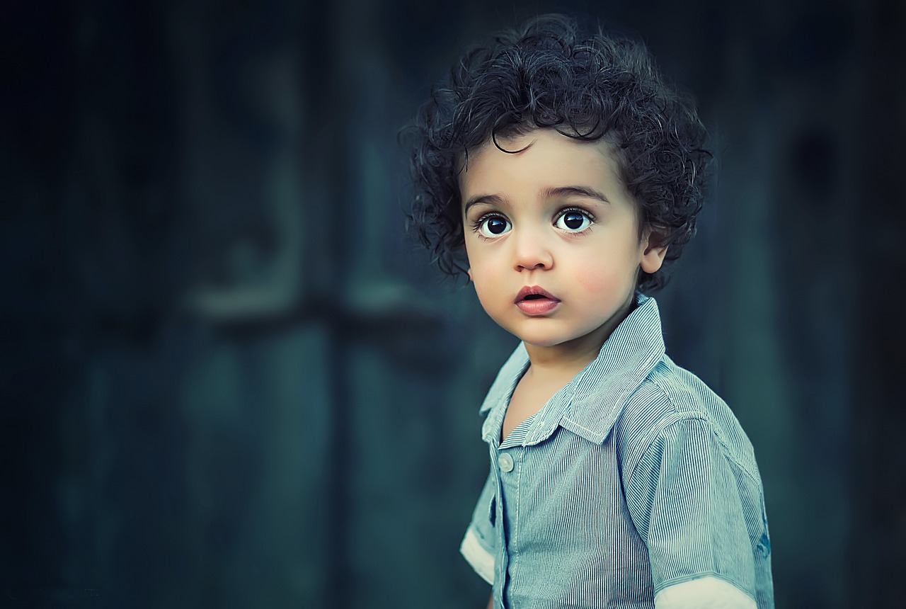 child boy portrait 817373