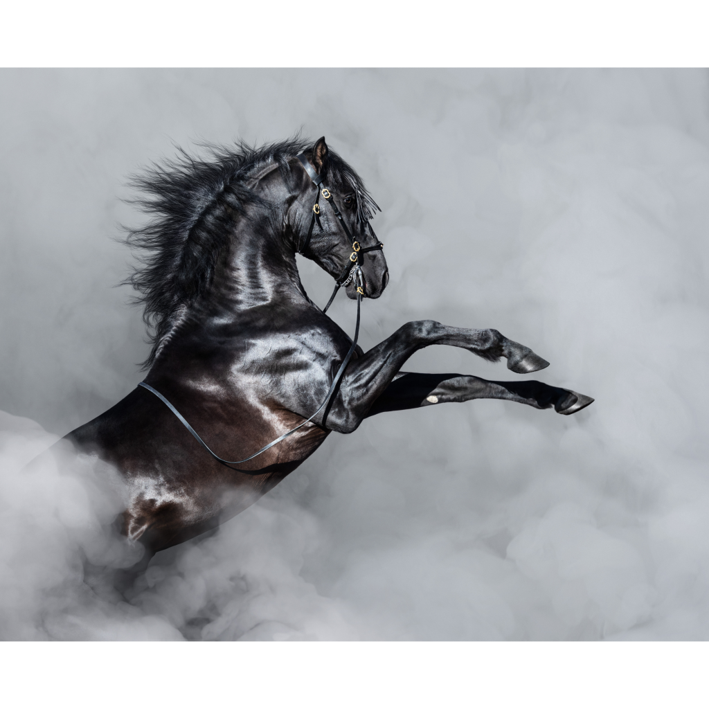 Untitled design 29