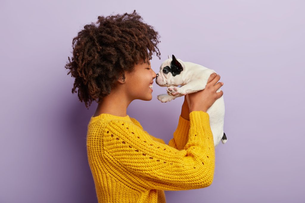sideways shot cheerful afro american woman plays with sweety black white french bulldog puppy touch small nose scaled